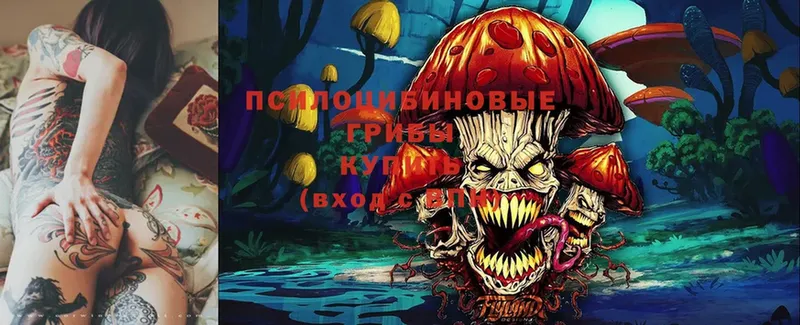 Галлюциногенные грибы Magic Shrooms  Карасук 